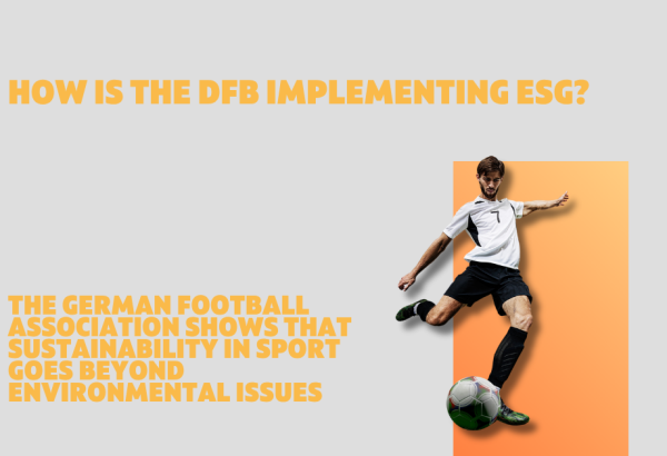 ESG at the DFB