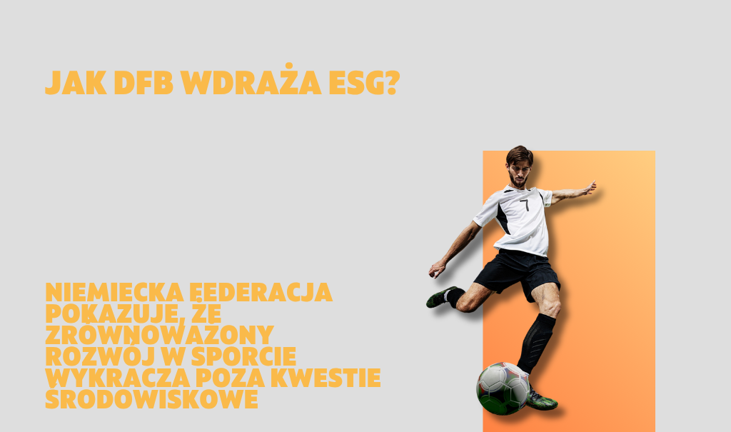 ESG w DFB